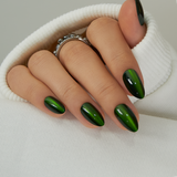 Dark Forest – S Almond