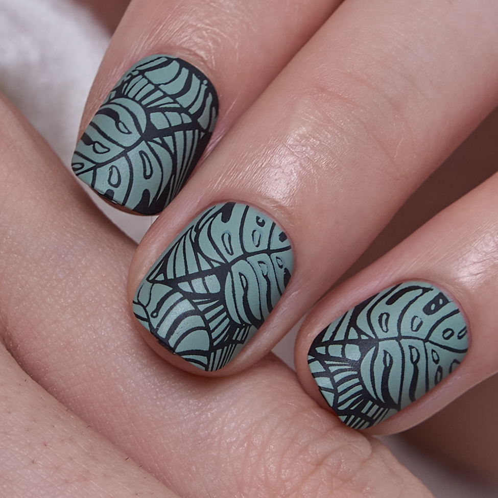 Olive Herbarium - RS Squoval