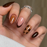 Amber Shell – S Almond