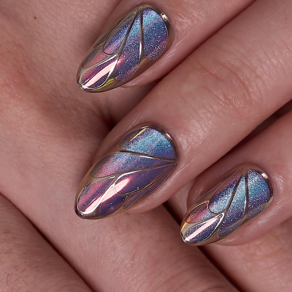 Aurora Wings Designer’s Pick