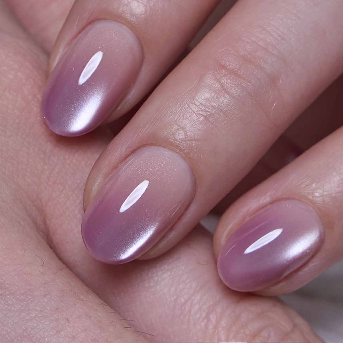 Rose Aura - S Oval
