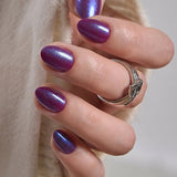 Night Iris - RS Almond