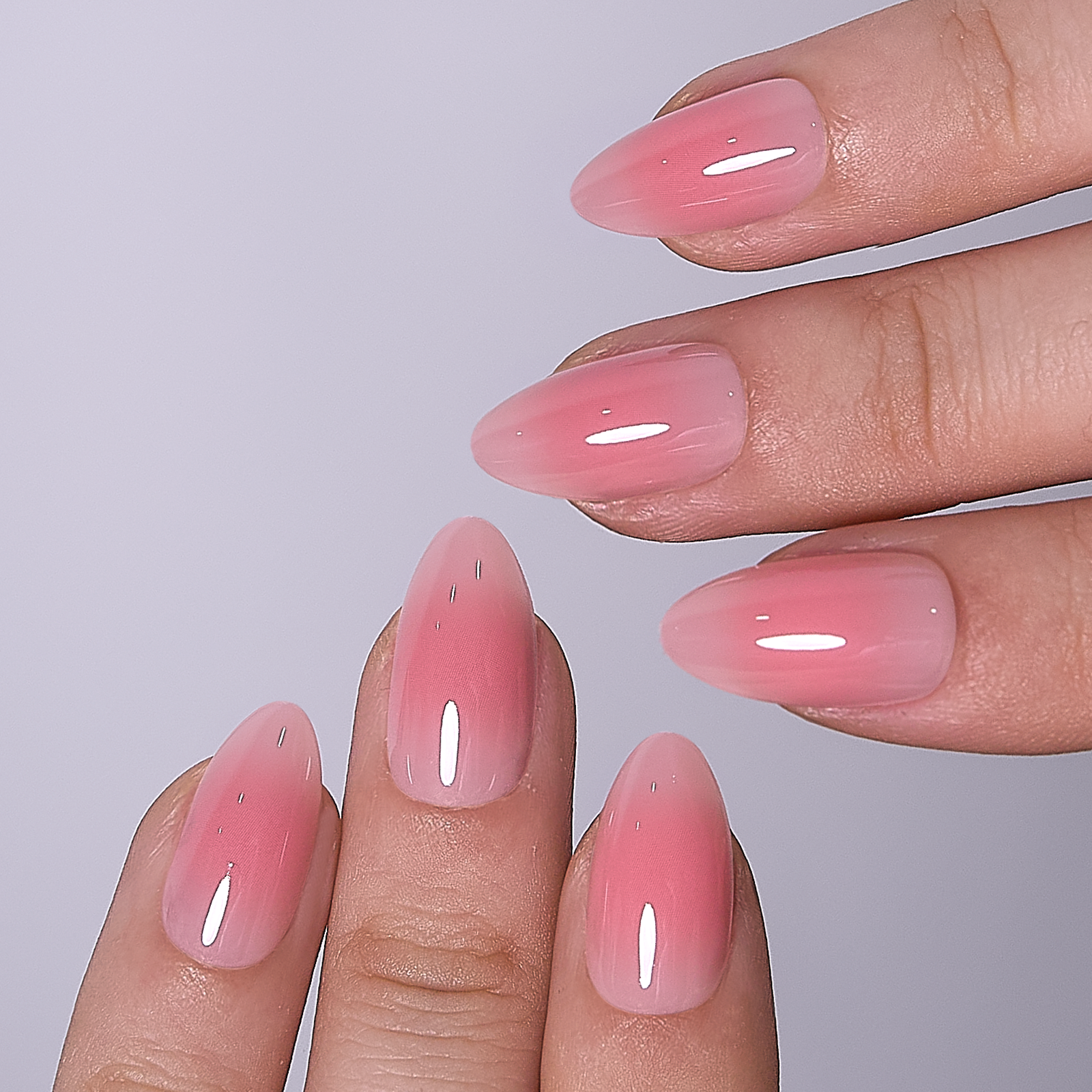 Blossom Veil – S Almond