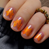 Autumn Leaves – S Squoval