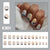 24pcs/Set Press On Nails W1118
